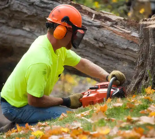 tree services Battle Mountain